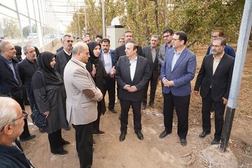 بازدید استاندار قزوین از واحدهای گلخانهای، دامپروری و صنعتی استان