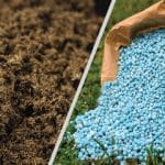 تأمین ۹۰ هزار تُن کود یارانه‌ای در کردستان