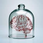 تفکر بدون مغز: چگونه موجودات دریایی بدون مغز یاد می‌گیرند؟