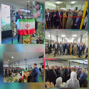 توسعه زیر ساخت های صادراتی گیلان از اولویتهای دولت است