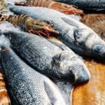 تولید آبزیان در استان آذربایجان‌غربی به ۱۰ هزار تن در نیمه نخست سال رسید