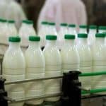 جهش قیمت شیر، روزانه شد/ ظفری: طی ۶۰ سال شیرخام کیلویی ۲۳ هزار تومان شد، اما در ۵ ماه گذشته به کیلویی ۳۹ هزار تومان رسید