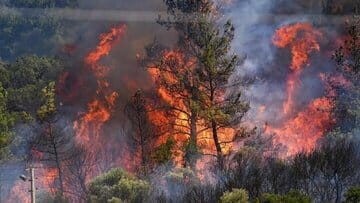 حریق سبزِ «الیت»؛ مرور آتشسوزیهای شاخص جنگلهای ایران در یک دهه اخیر