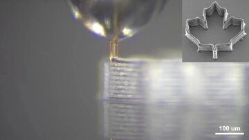 خاصیت شگفت‌انگیز نیش پشه / انقلابی در پرینت سه‌بعدی