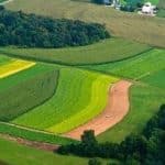 خلع ید بیش از ۲ هزار هکتار از اراضی ملی مازندران از ید متصرفین