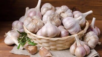 خوردن سیر خام ناشتا باعث لاغری میشود؟