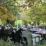 خورشید مهر بر سرای سالمندان شیراز