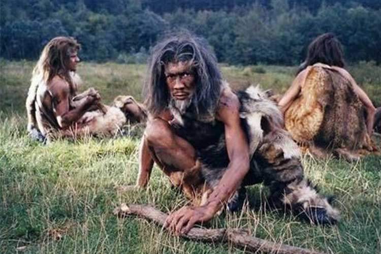 راز انقراض نئاندرتالها: یک مدل ریاضی جدید پاسخ میدهد