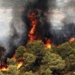 رد پای ‌انسان‌ ‌در آتش‌سوزی‌ جنگل‌ها محرز شد/ چه‌کسی ‌الیت را آتش زد؟