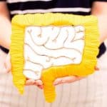 روده شما با شما سخن میگوید: درک سیگنالهای حیاتی سیستم گوارش برای سلامت کلی