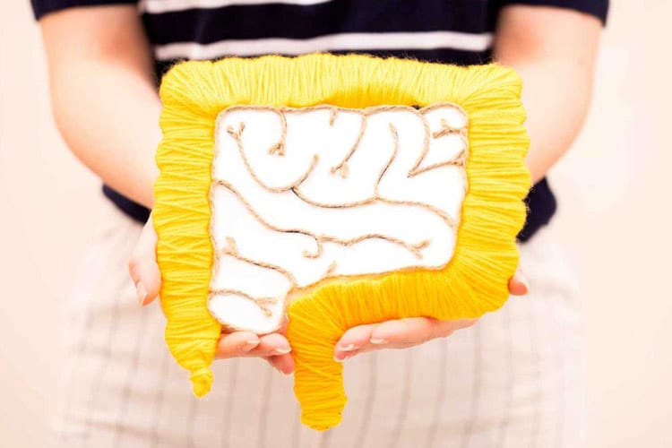 روده شما با شما سخن میگوید: درک سیگنالهای حیاتی سیستم گوارش برای سلامت کلی