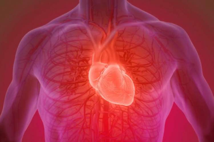 روند نزولی سلامت قلب از ۱۷ سالگی آغاز میشود