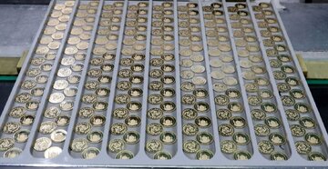 زمان پیش فروش سکه اعلام شد/ جزییات برگزاری دو حراج سکه در مرکز مبادله