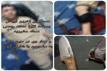 زمینگیر شدن شرور سابقهدار مشیریه