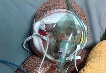 زهره؛ فرشتهای که خاکستر ایران را به گلستان کانادا نفس بخشید