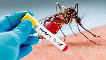 شمار مبتلایان به تب دنگی در هرمزگان به ۱۶۸ تَن رسید