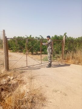 شناسایی بیش از هزار مورد تغییر کاربری غیرمجاز در اراضی قزوین