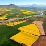 شناسهدارشدن ۶۲هزار هکتار از اراضی زراعی قزوین