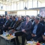 صادرات سالانه ۳ هزار تن سیب از لرستان به کشورهای آسیایی