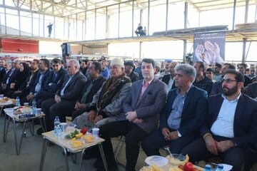 صادرات سالانه ۳ هزار تن سیب از لرستان به کشورهای آسیایی