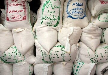 عاملی که برنج ایرانی را به کیلویی ۳۰۰ هزار تومان رساند/ بگیر و ببندها بازار برنج را آرام نمی کند