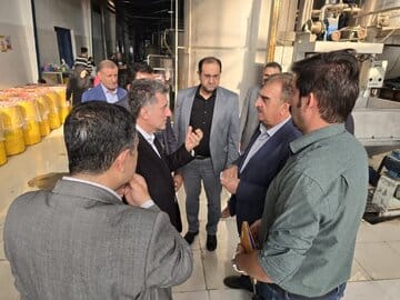 فرماندار رودسر:تنها حدود ۱۰ تا ۲۰ درصد پرتقال‌های گیلان وارد چرخه فرآوری می‌شود