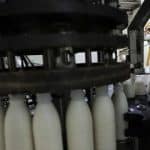 لبنیات ۳۰ درصد گران شد