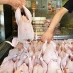 ماجرای مرغ تریاکی چیست؟