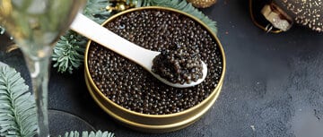 معجزه علمی برای تولید خاویار در ژاپن / وقتی ماهی‌های نر به «ماده ممتاز» تبدیل می‌شوند