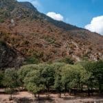 هیرکانی انبار باروت است؛ طبیعت گردی در مازندران تا اطلاع بعدی ممنوع شد