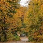 ورود گردشگران به جنگل‌های سوادکوه ممنوع شد