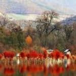 پیش بینی آسمان صاف تا اواسط هفته در مازندران