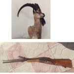 کشف تاکسیدرمی بزکوهی و اسلحه شکاری از متخلف زیست محیطی در خرمآباد