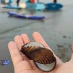 گامبرون، روستایی پیشرو در حفاظت از محیطزیست