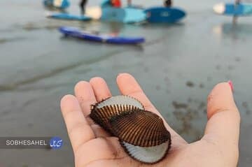 گامبرون، روستایی پیشرو در حفاظت از محیطزیست