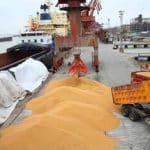 آغاز تخلیه ۶۶ هزار تُن گندم در بندر شهید رجایی