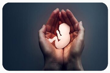 آمار سقط جنین در کشور ۳۰ برابر تلفات تصادف!