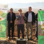 اجرای پایلوت کشاورزی حفاظتی در خرمآباد / گامی عملی برای صیانت از خاک