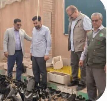 احداث ۱۰۵ نهالستان دانشآموزی در مدارس استان سمنان