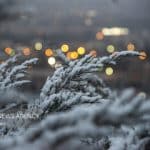 اطلاعیه هواشناسی صادر شد/ جزییات