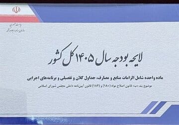 انتقاد روزنامه رئیس شورای اطلاع رسانی دولت از لایحه بودجه/ نه شفاف است نه حلال مشکلات/ شرکتهای دولتی و شبه دولتی همچنان پول می خورند