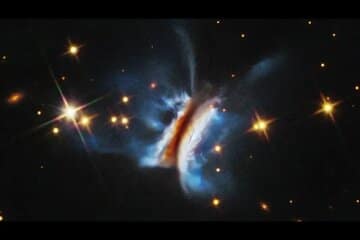 این «ساندویچ دراکولا» است