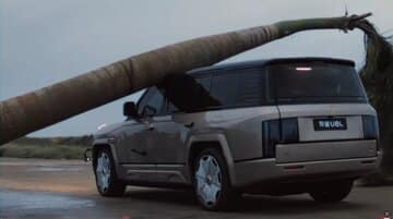 ببینید | سقوط نخل غولپیکر روی خودروی چینی / مقاومت تحسینبرانگیز