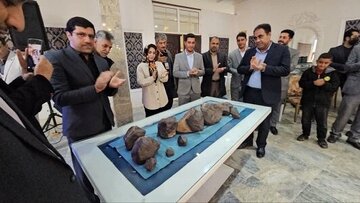 برگزاری جشنواره شهابسنگ و گوهرسنگ زرند