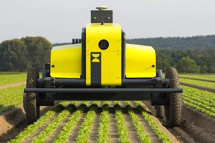 تحولی در کشاورزی: رباتهای خودران با هوش مصنوعی وارد مزارع میشوند