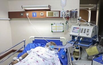 تداوم تاخت و تاز بیرحمانه آنفلوانزا در اردبیل/جان باختن ۳ نفر