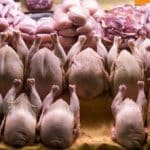 توزیع بیش از ۵۰۰ تن گوشت مرغ منجمد در سطح آذربایجانغربی