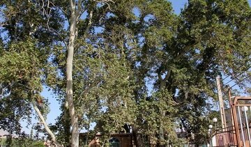 ثبت سه اثر طبیعی قزوین در فهرست آثار ملی