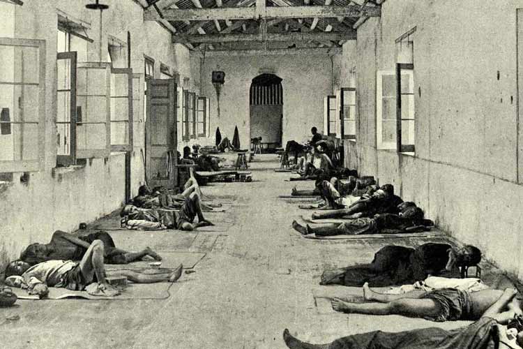 راز طاعون سیاه فاش شد؛ نقش فورانهای آتشفشانی در مرگبارترین همهگیری تاریخ