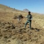 رفع تصرف ۵۷۵۶ مترمربع از اراضی ملی منطقه حفاظتشده شیدا شهرستان بن